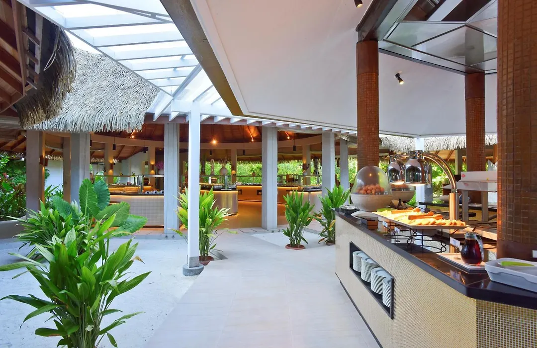 Niva Kuramathi Maldives-1