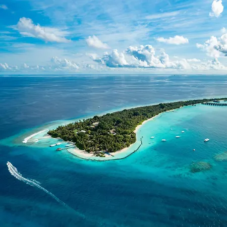 Niva Kuramathi Maldives-2